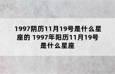 1997阴历11月19号是什么星座的 1997年阳历11月19号是什么星座